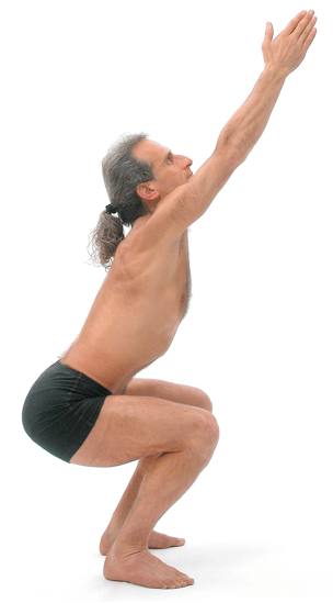 Figura 9: Utkatasana: per generar janu bandha (activar simultàniament davant i darrera cuixa) comença amb les cames rectes, puja les ròtules i després - sense perdre la sensació d'elevar les ròtules - plega les cames lleugerament cap a utkatasana. Utkatasana reforça el quàdriceps