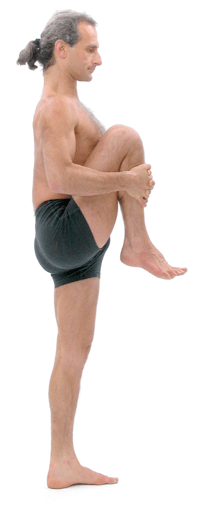Figura 10: Utthita pavanmkutasana: cal començar la postura amb la cama dempeus lleugerament flexionada en el genoll, per tal d'activar el davant de la cuixa. Inclina't endavant i empeny la cama que és a l'aire tant a prop del tronc com puguis. Mantén cama i tronc tant a prop com puguis, i després ves enrera amb el tronc i mira d'estirar la cama dempeus. Això activa el darrera de la cuixa juntament amb el davant, i genera janu bandha. Figure 10