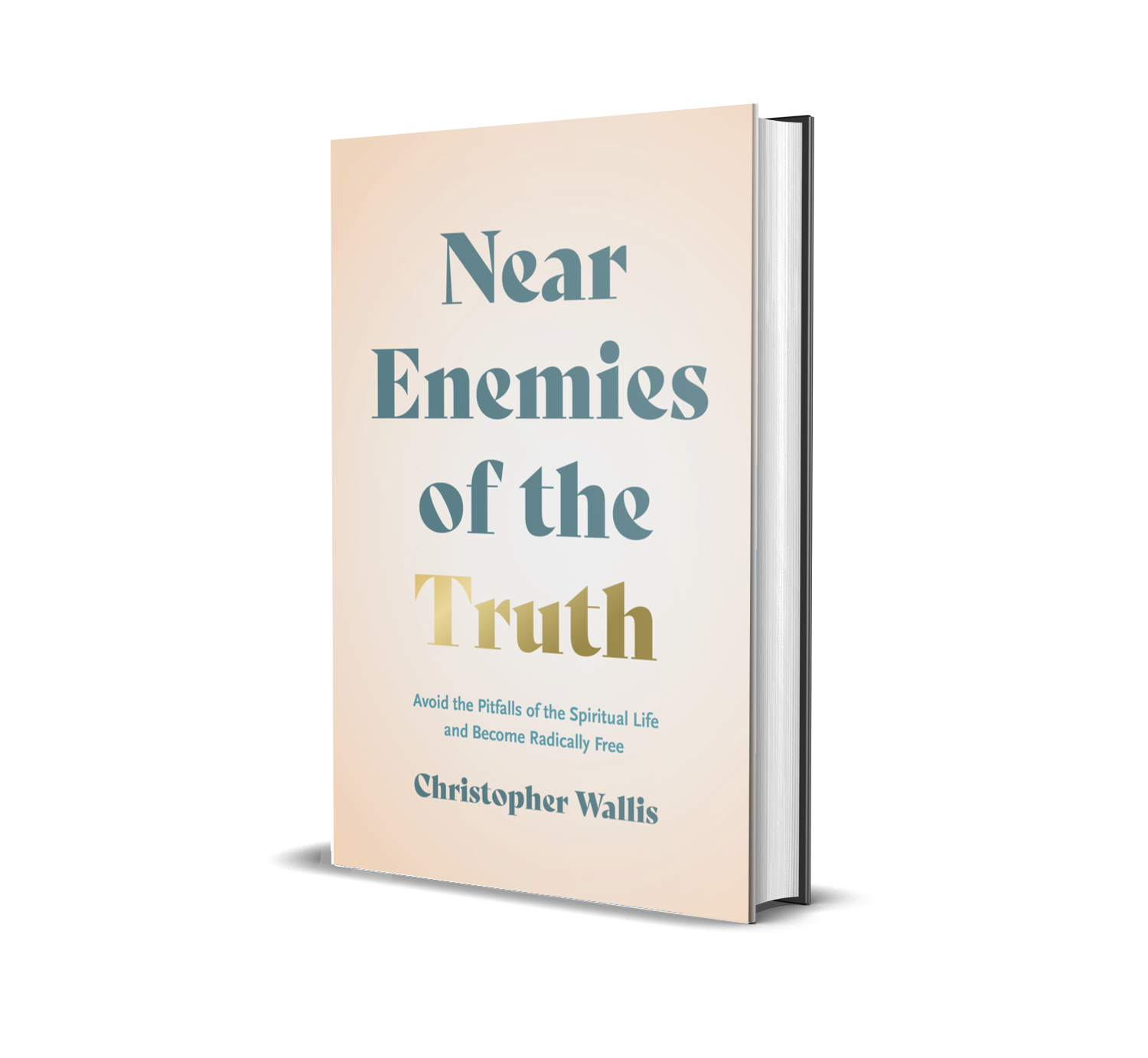 Near Enemies of the Truth Hareesh